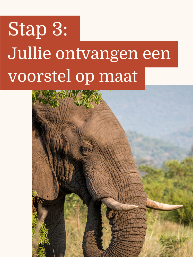 Unieke familiereizen naar Zuid-Afrika – Ontzorgd, persoonlijk en kidsproof
