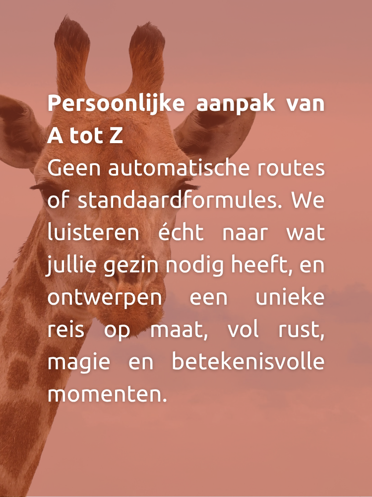 Kindvriendelijke vakantie in Zuid-Afrika