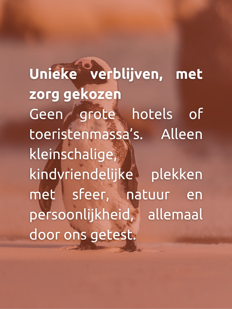 Familie geniet van natuur in Zuid-Afrika