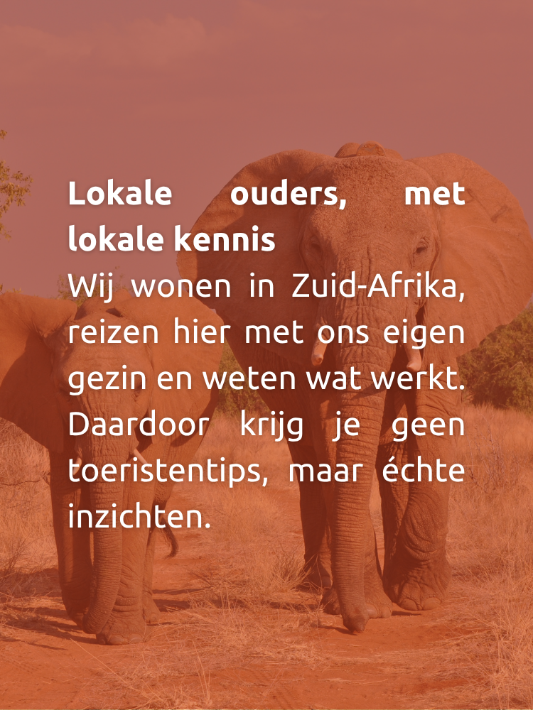 Reizen naar Zuid-Afrika met kinderen – Persoonlijk & zorgeloos