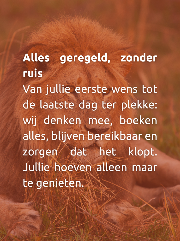 Familiereizen naar Zuid-Afrika – kindvriendelijk & op maat