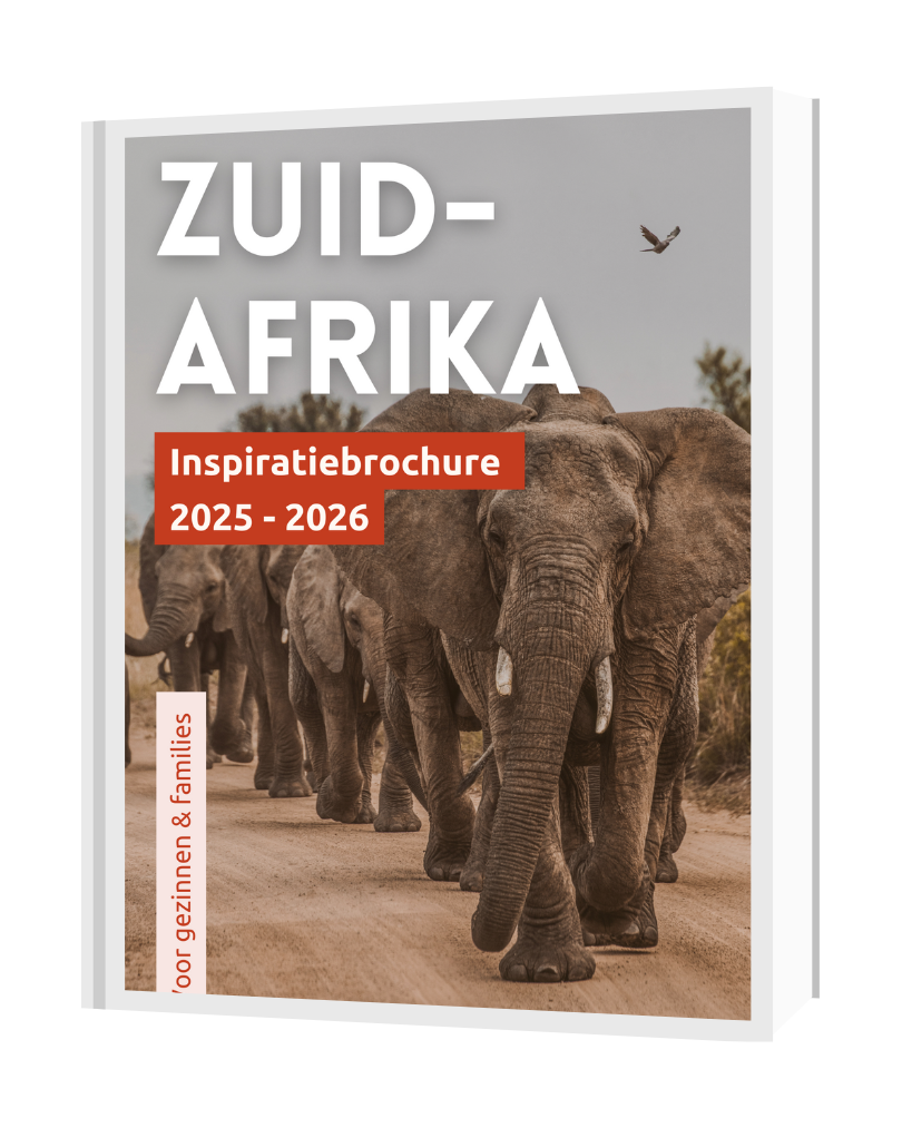 Inspiratiegids Zuid-Afrika met gezinnen 2026 2027 Familiereis met kinderen