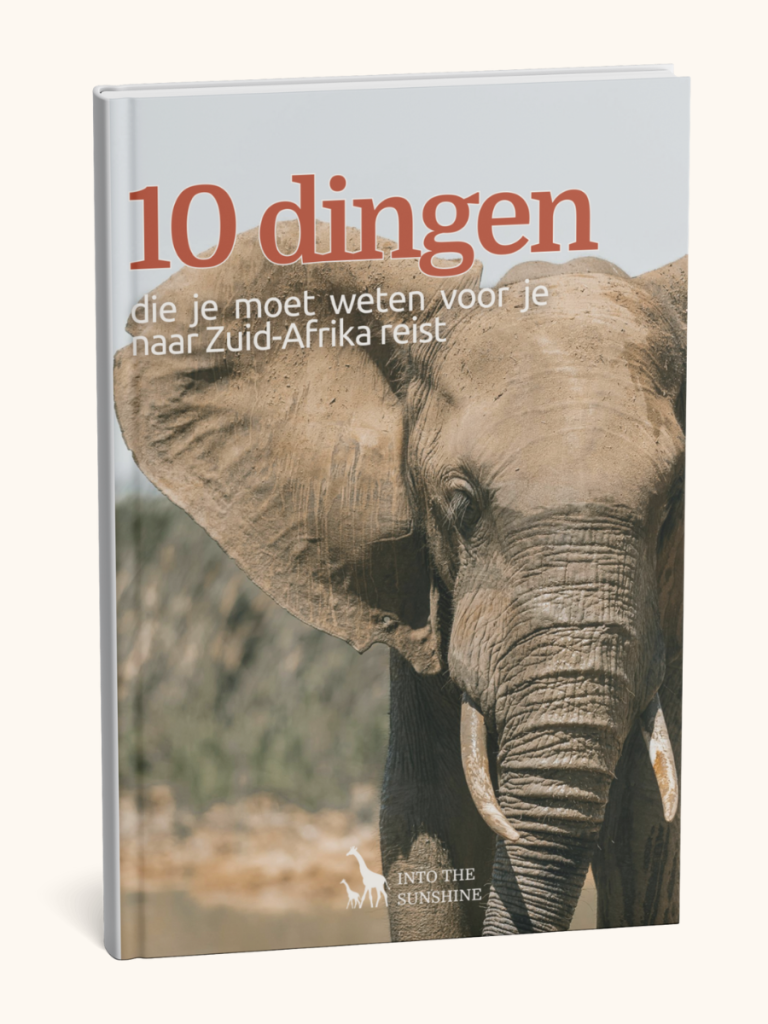 Ouders lezen praktische tips voor een gezinsreis naar Zuid-Afrika, reisgids wat je moet weten voor je naar Zuid-Afrika reist